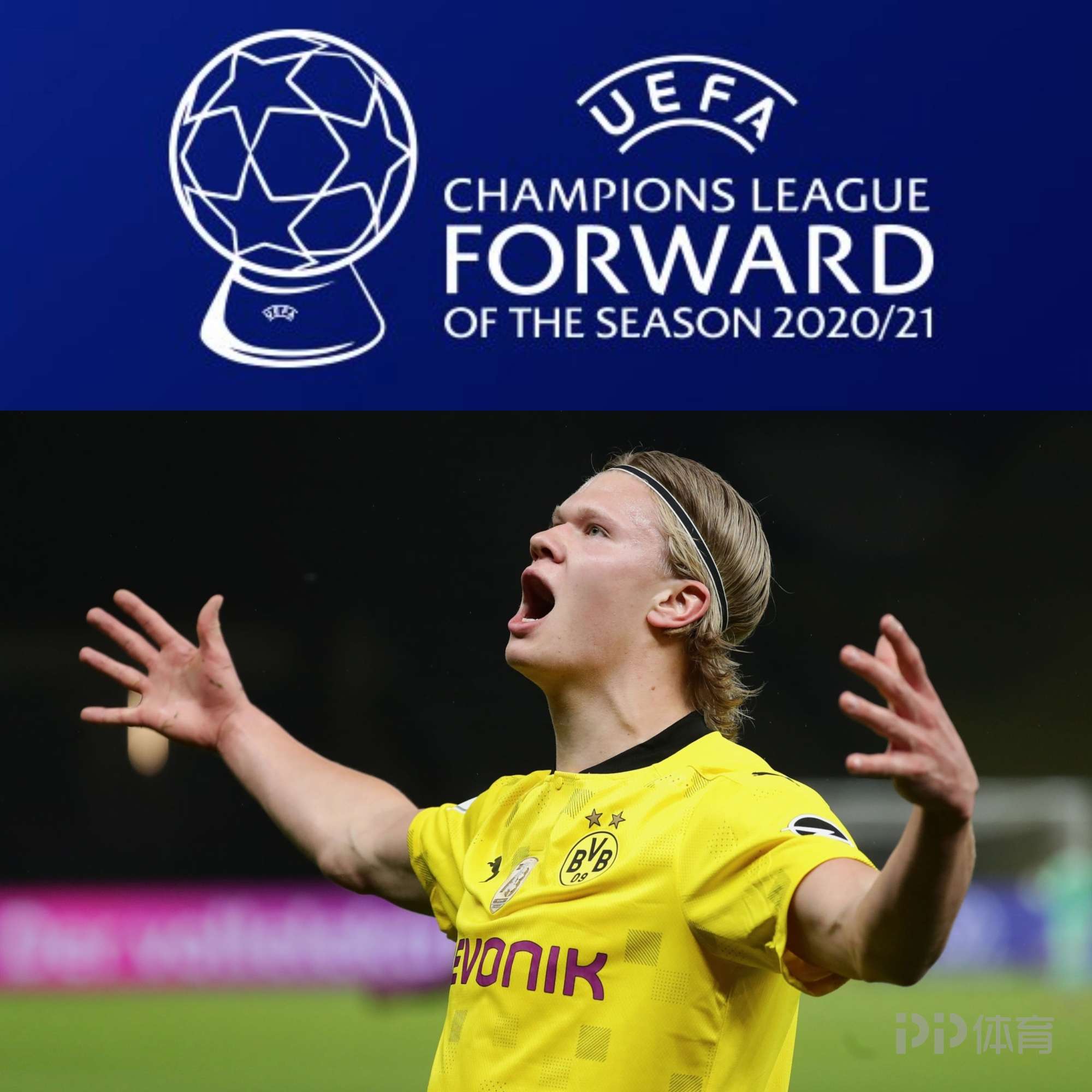 决策选项 决策选项